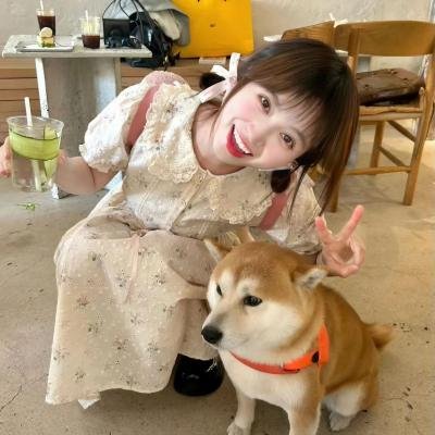 新年泰疯狂