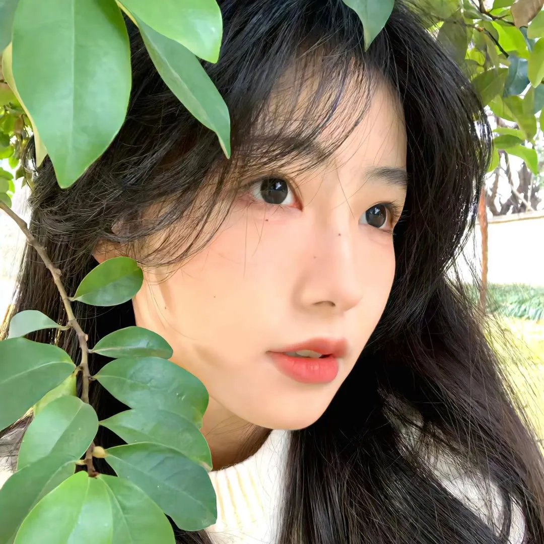 蝴蝶飞