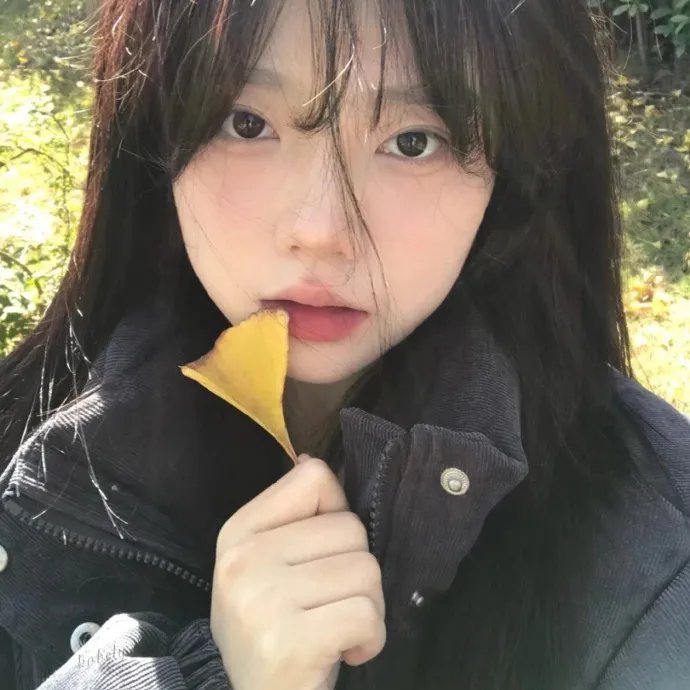 陈辰全明星